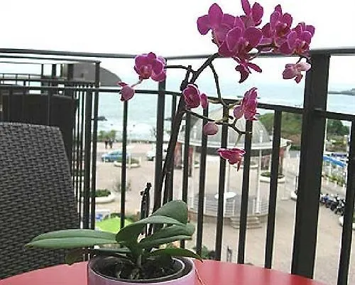 **** Hotel Hôtel Florida Biarritz France